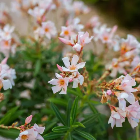 Townhouse Lotus - Modern 2-br Retreat Near The * Пейя