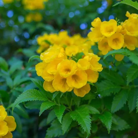 Дом отдыха Townhouse Lotus - Modern 2-br Retreat Near The