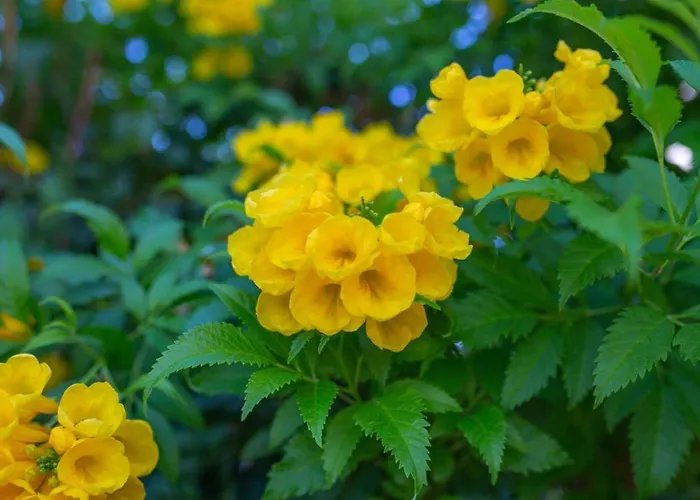 Prázdninový dům Townhouse Lotus - Modern 2-br Retreat Near The